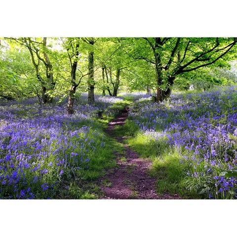 Aoihrraan 3x2m Lavanda Mansión Fondo Púrpura Flores Verde Árboles